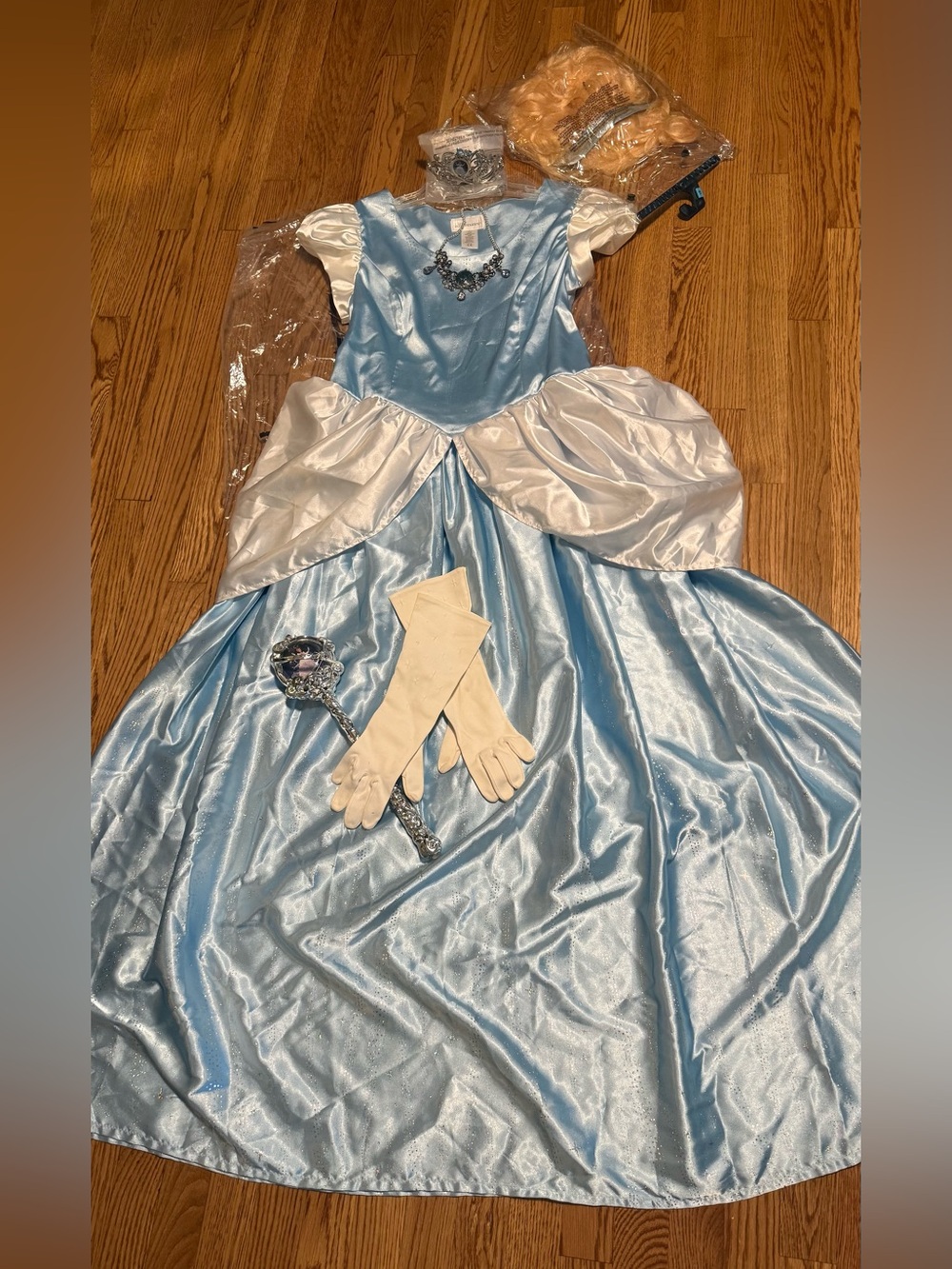 Women’s Classic Blue Cinderella Ball Gown with Accessories